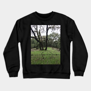 taylor mountain trees Crewneck Sweatshirt